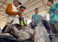 KKP Jamin Ketersediaan dan Mutu Ikan Untuk Natal dan Tahun Baru