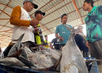 KKP Jamin Ketersediaan dan Mutu Ikan Untuk Natal dan Tahun Baru