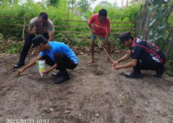 Dukung Swasembada Pangan, Polsek Geser Tanam Jagung