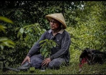 Sosok Petani Pala Jadi Wakil Gubernur Maluku