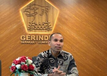 Masalah Revitalisasi, Fraksi Gerindra Pastikan Awasi Program Presiden